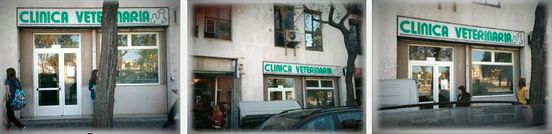 Clínica Veterinaria Añó fachada de la clínica 